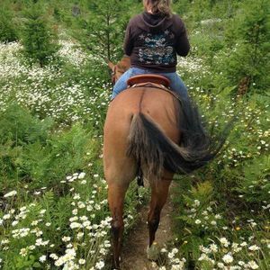 Meet your Posher, Karen